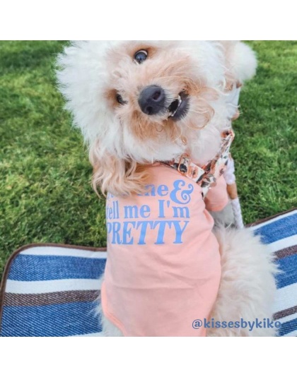 Lemonade - The Essential T-Shirt - Feed Me & Tell Me I'm Pretty - Large