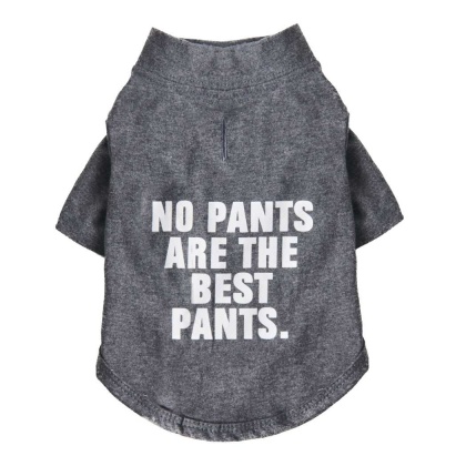 Cool Gray - The Essential T-Shirt - No Pants Are The Best Pants - Medium