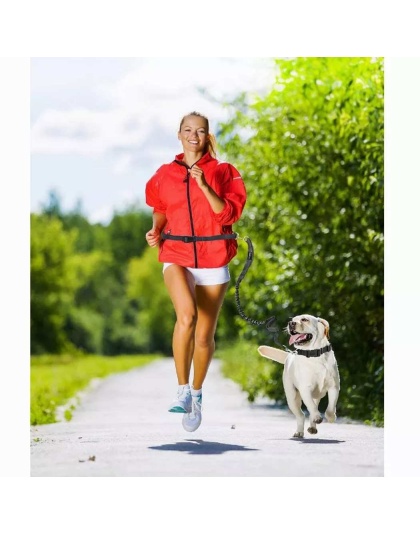 Black - JESPET Hands Free Dog Leash for Running, Walking, Hiking Jogging for Medium & Large Dogs up to 150lbs, Durable Dual Handle Waist Leash with Reflective Bungee and Adjustable Waist - 1'' x 48''