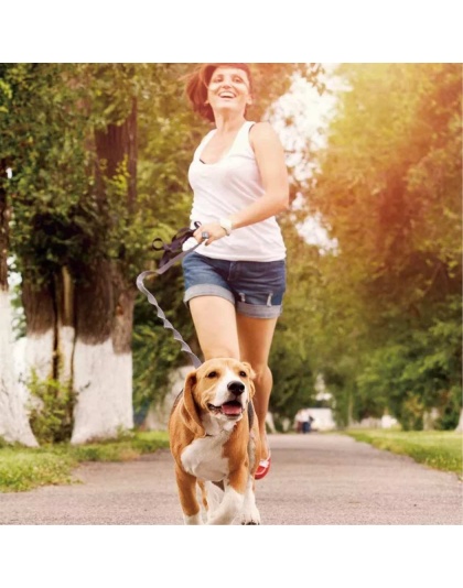 Grey - JESPET Hands Free Dog Leash for Running, Walking, Hiking Jogging for Medium & Large Dogs up to 150lbs, Durable Dual Handle Waist Leash with Reflective Bungee and Adjustable Waist - 1'' x 48''