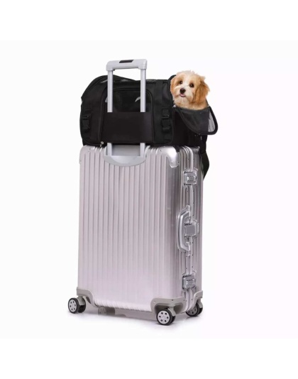 Black - JESPET Soft-Sided Kennel Pet Carrier for Small Dogs, Cats, Puppy, Airline Approved Cat Carriers Dog Carrier Collapsible, Travel Handbag & Car Seat - 19" x 10" x 13"