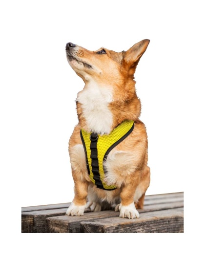 Buttercup Yellow - K9 Sport Harness - Medium (15-17" Neck 15-21" Chest)