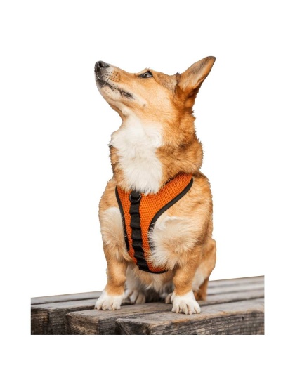 Sunset Orange - K9 Sport Harness - Medium (15-17" Neck 15-21" Chest)