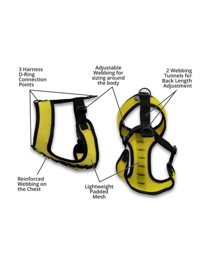 Buttercup Yellow - K9 Sport Harness - Small (13-15" Neck 13-18" Chest)