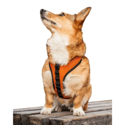 Sunset Orange - K9 Sport Harness - Small (13-15" Neck 13-18" Chest)