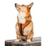 Sunset Orange - K9 Sport Harness - Small (13-15" Neck 13-18" Chest)