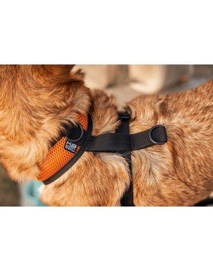 Sunset Orange - K9 Sport Harness - Small (13-15" Neck 13-18" Chest)