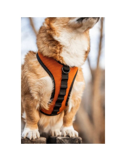 Sunset Orange - K9 Sport Harness - Small (13-15" Neck 13-18" Chest)