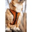Sunset Orange - K9 Sport Harness - Small (13-15" Neck 13-18" Chest)