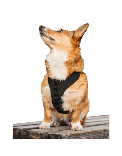 Anthracite Black - K9 Sport Harness - X-Small (11-13" Neck 11-15" Chest)