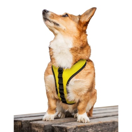 Buttercup Yellow - K9 Sport Harness - X-Small (11-13" Neck 11-15" Chest)