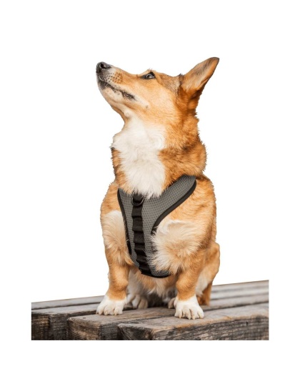 Shark Skin Gray - K9 Sport Harness - X-Small (11-13" Neck 11-15" Chest)