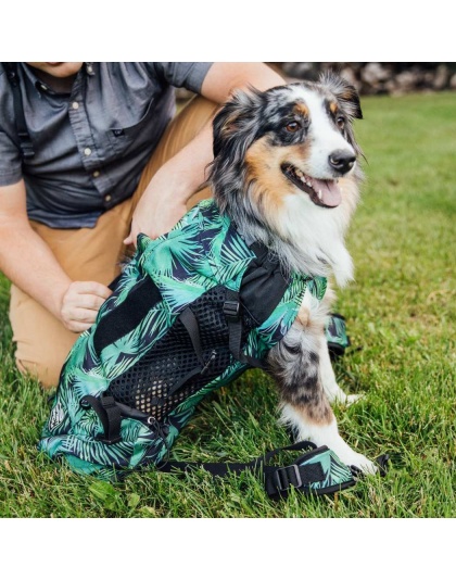 Summer Mint - K9 Sport Sack Air 2 - X-Small (10"-13" from collar to tail)