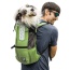 Greenery - K9 Sport Sack Trainer - Medium (17"-20" from collar to tail)