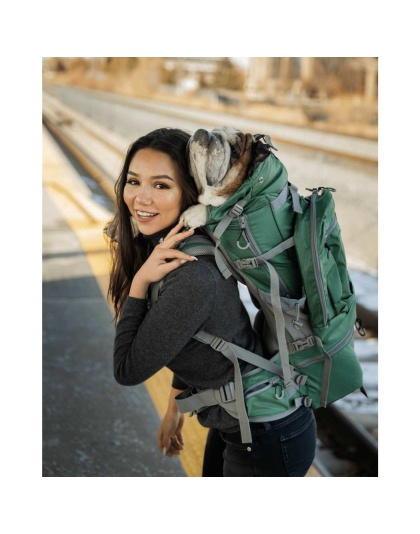 Myrtle Green - Kolossus | Big Dog Carrier & Backpacking Pack - XX-Large (26"-29" from collar to tail)