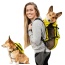 Buttercup Yellow - Walk-On with Harness & Storage - Medium (15-17" Neck 15-21" Chest)