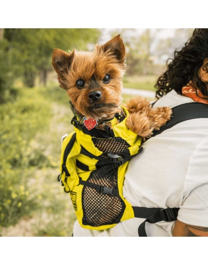 Buttercup Yellow - Walk-On with Harness & Storage - Medium (15-17" Neck 15-21" Chest)