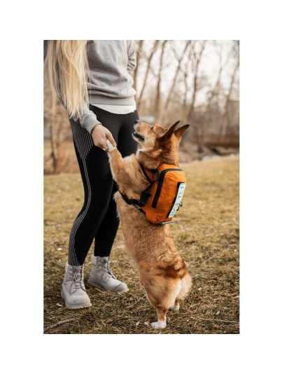 Sunset Orange - Walk-On with Harness & Storage - Medium (15-17" Neck 15-21" Chest)