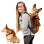 Sunset Orange - Walk-On with Harness & Storage - Small (13-15" Neck 13-18" Chest)