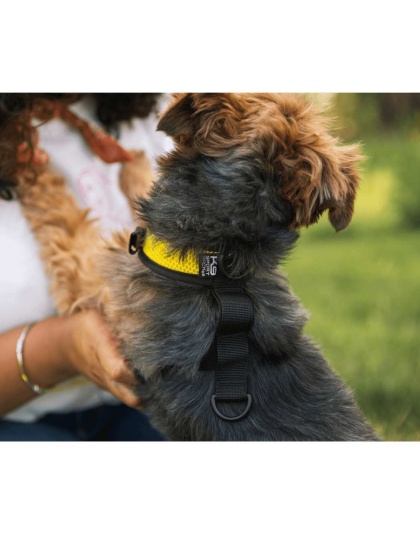 Buttercup Yellow - Walk-On with Harness & Storage - Small (13-15" Neck 13-18" Chest)