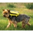 Buttercup Yellow - Walk-On with Harness & Storage - X-Small (11-13" Neck 11-15" Chest)