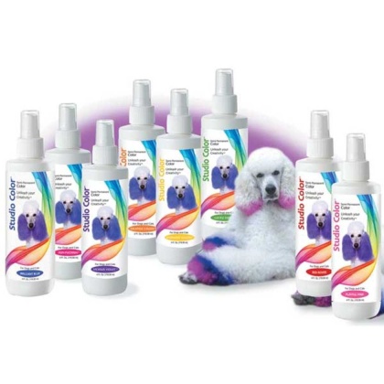 Purple - Davis Studio Color Hair Dye Pur 4oz - 4oz