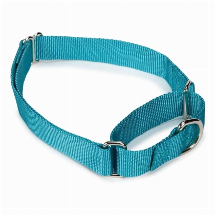 Light Blue - GG Nylon Martingale Collar 10-16In LtB - 10-16in