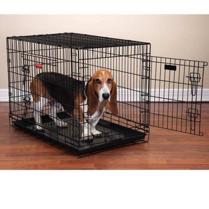 PS Everlast Crate w/Dual Doors M/L - Medium/Large
